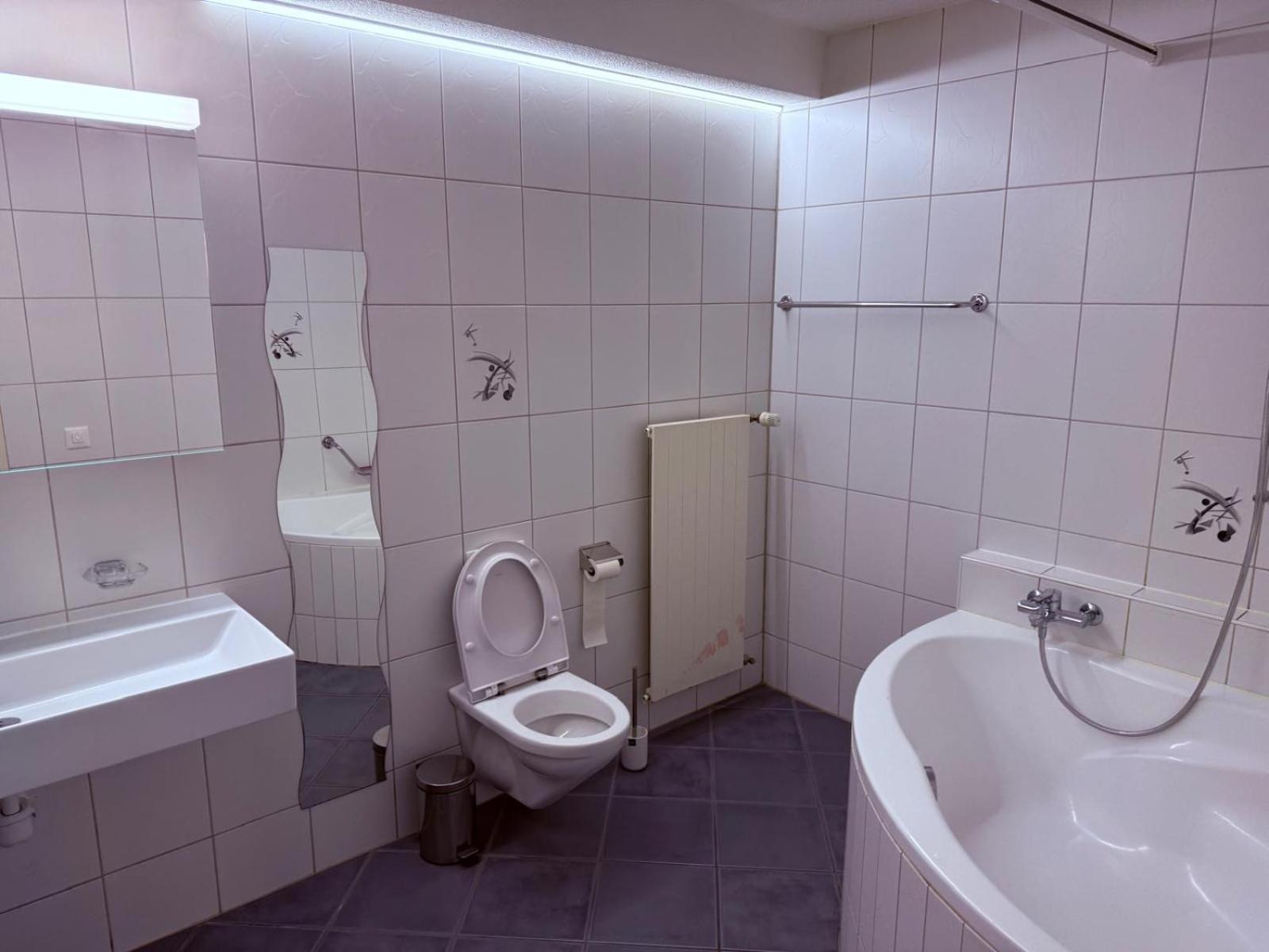 Sass Aparthotel Schönenwerd Exteriör bild